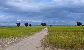 Lakki-marwat لکی مروت: تاریخ، ثقافت، معیشت اور ترقی کا مکمل جائزہ