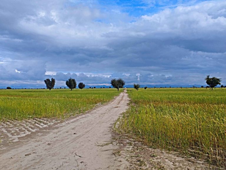 Read more about the article Lakki-marwat لکی مروت: تاریخ، ثقافت، معیشت اور ترقی کا مکمل جائزہ