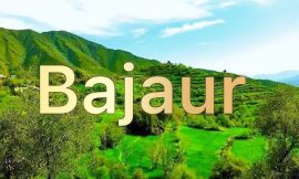 Bajaur باجوڑ: تاریخ، ثقافت، معیشت، تعلیم، سیاحت اور ترقی کا جامع جائزہ