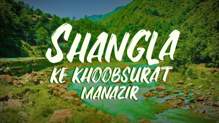 Read more about the article Shangla شانگلہ: خیبر پختونخواہ کا حسین اور پُرکشش ضلع