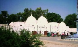 Bahawalnagar ضلع بہاولنگر: تاریخ، ثقافت اور زراعت کا گہوارہ