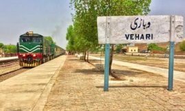 Vehari وہاڑی: پنجاب کا زرعی، ثقافتی اور تاریخی خزانہ